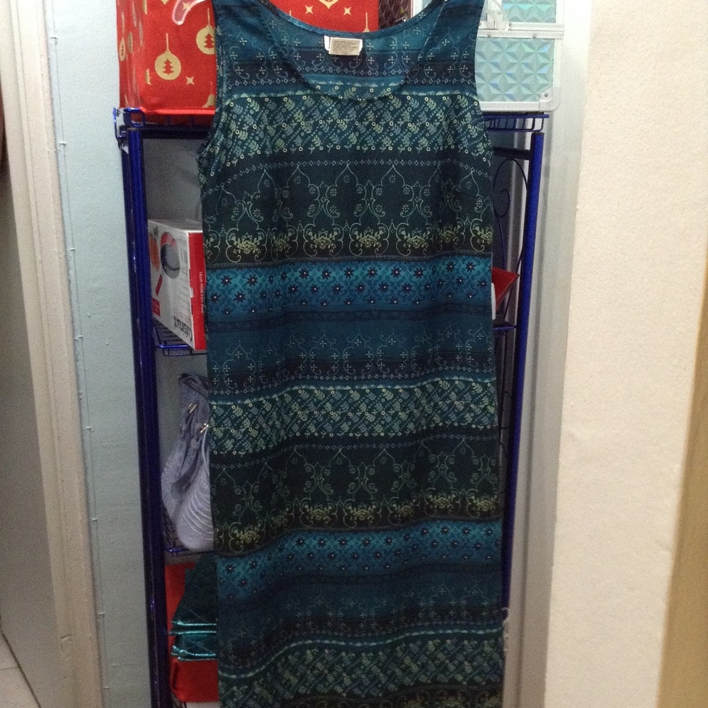 Sleeveless Size 12 Petite Green Blue Yellow Multicolor Maxi Dress
